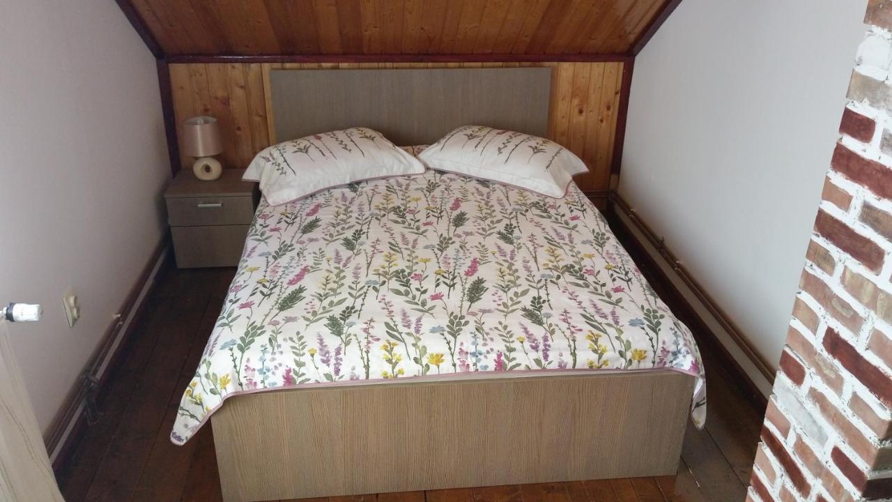 Casa Marcela Fundata Luaran gambar
